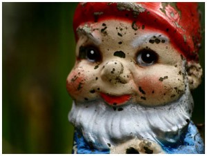 close up garden gnome